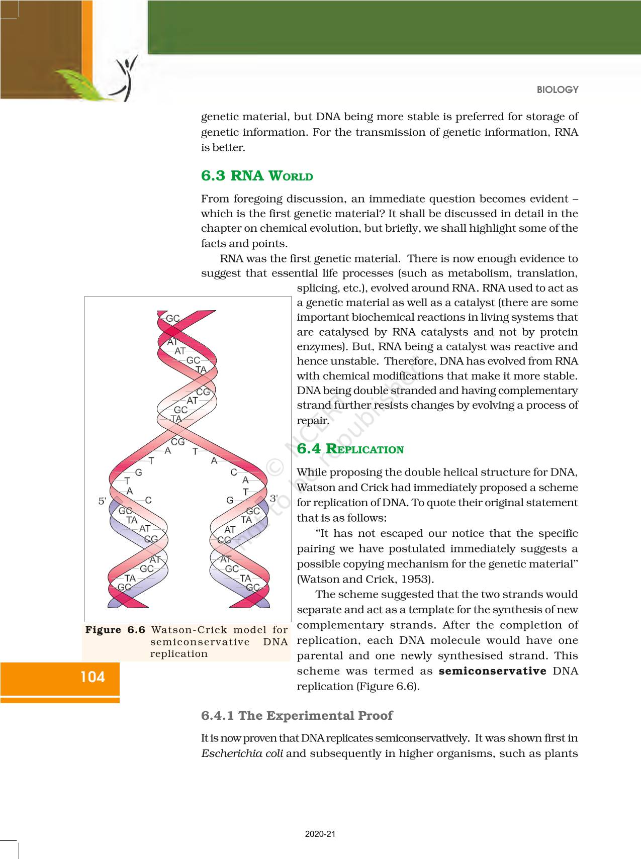 Molecular Basis Of Inheritance Ncert Book Of Class Biology